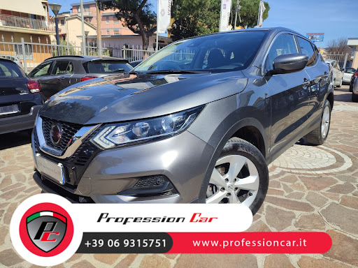 Profession Car Srl - Visual