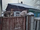 Фотография Хаус Сити, дом 16/18, бульвар 9 Января, Барнаул, Россия