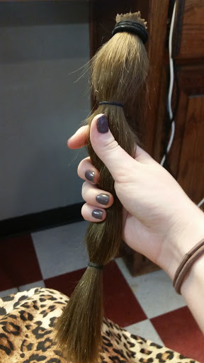 Lions Mane - Visual