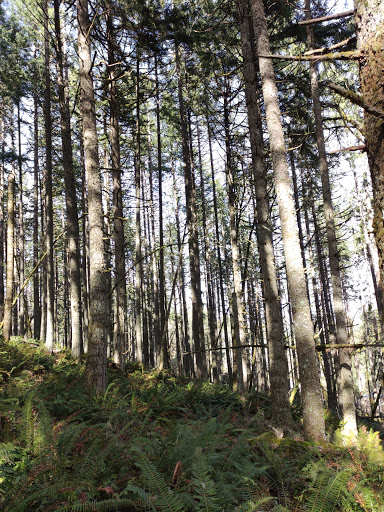 Spencer Butte Park - Thumbnail
