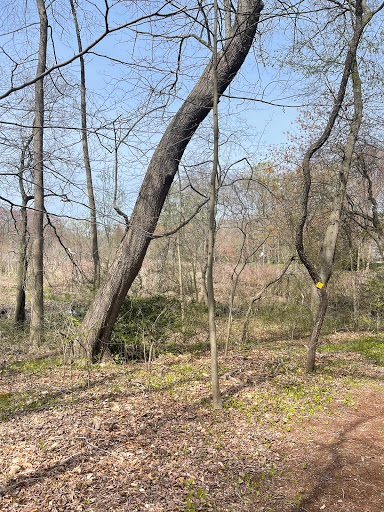 Louis C. Clark Sanctuary - Thumbnail