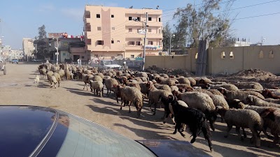 Photos of الحسين للموبيل