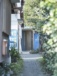 Tipy records inn photon