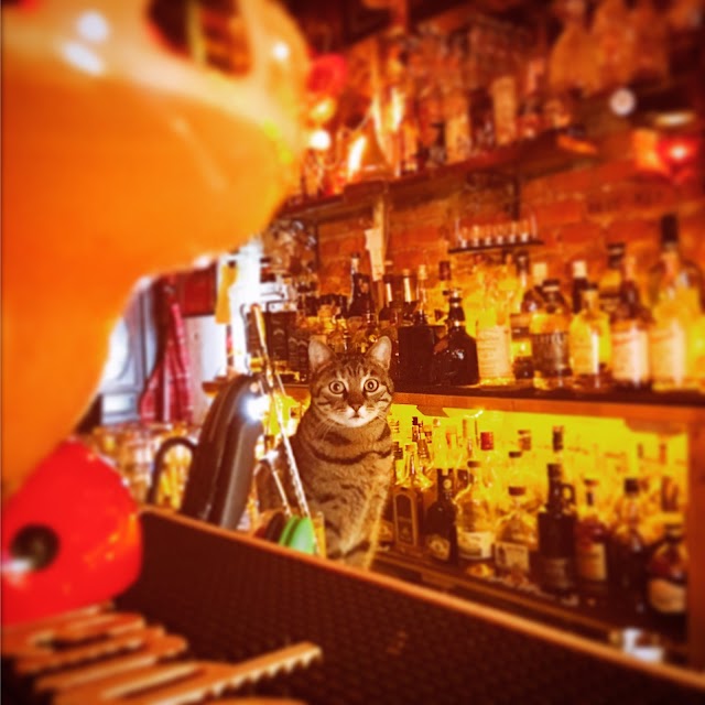 Hemingway Bar Tirana