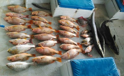 Jeti Kg Permatang Pasir Panjang Manjung Perak