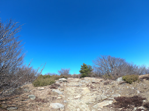 Monte Ermetta - Thumbnail