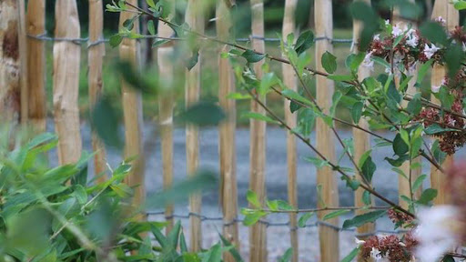 AUTOUR DE LA BRANCHE - Thumbnail
