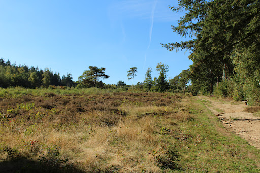 P-Veluwe Oostereng - Thumbnail