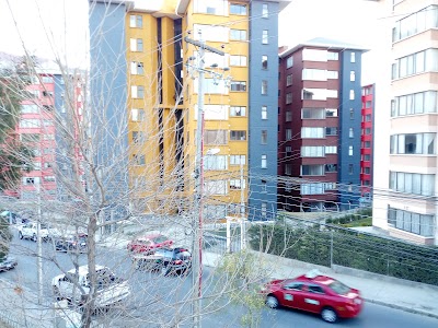 Photos of Plaza de la Tortuga