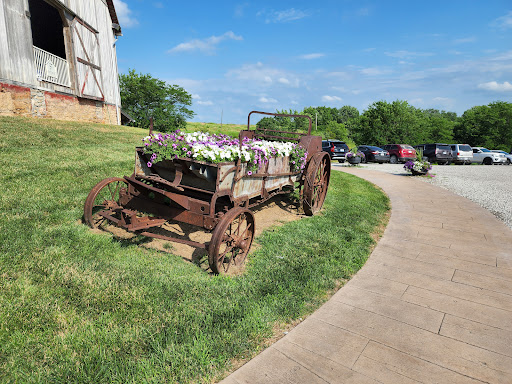 Timber Ridge Farm, LLC Gallery - United States