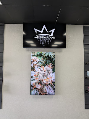 Photo of Imperium Roots