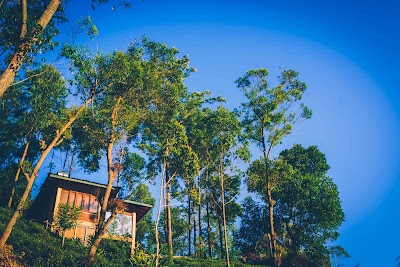 Photos of Tea Cottage Resort & Spa