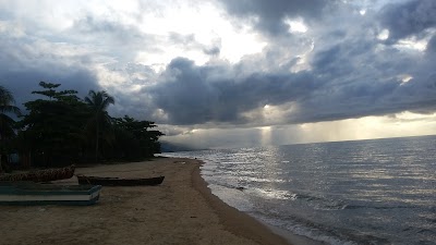 Photos of Papi Willy's Place
