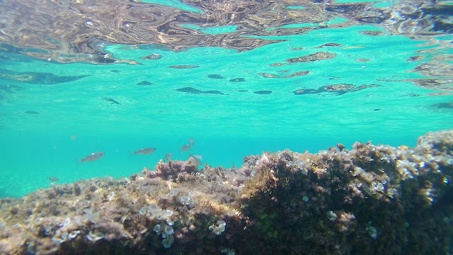 Platja de Cavalleria