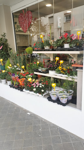 Ana Junior Florist - Thumbnail
