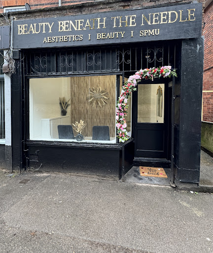 Beauty Beneath The Needle Aesthetics