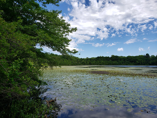 Hammond Pond Trail - Parking - Thumbnail