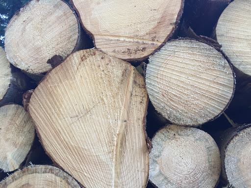 Leipziger Kisten-und Leistenfabrik GmbH Holzfachhandel u.Zuschnittservice - Thumbnail