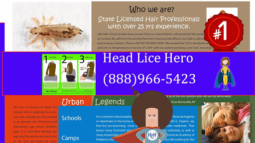 Head Lice Hero