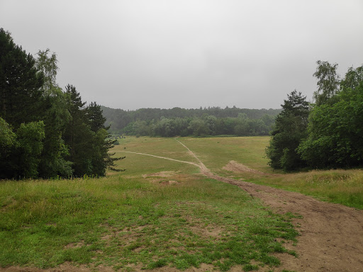 MTB Route Lunteren (startpunt) - Thumbnail