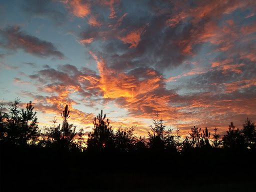 Skookum Inlet Natural Area Preserve - Thumbnail