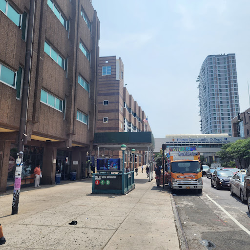 Hostos Community Clg Foundation - Thumbnail