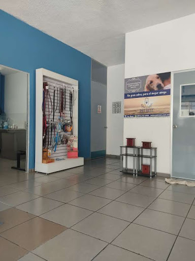 Animal Care Hospital Veterinario - Thumbnail
