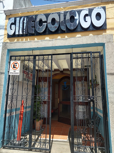 Médico Ginecólogo