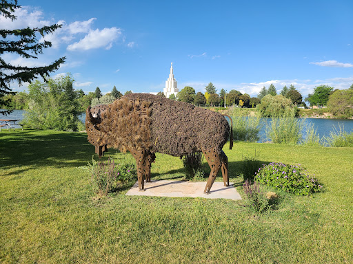 Bison Art in the park