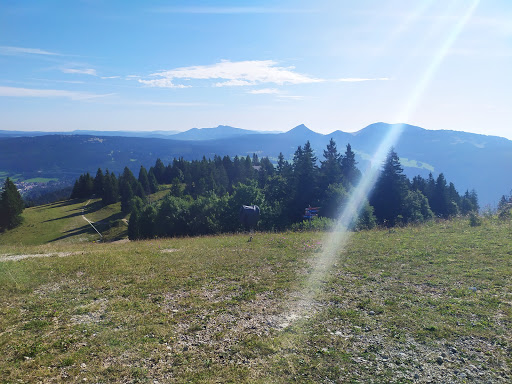 Le Dahu du Petit Morond - Thumbnail