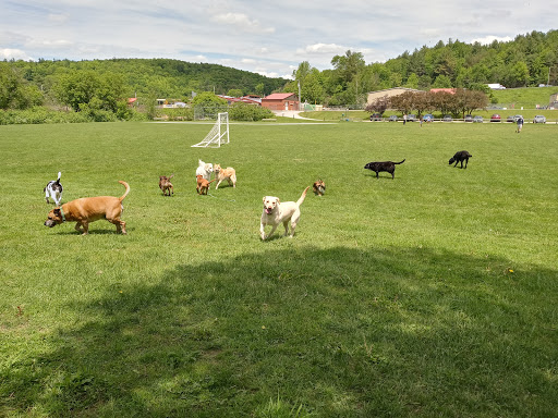 Dog River Field - Thumbnail