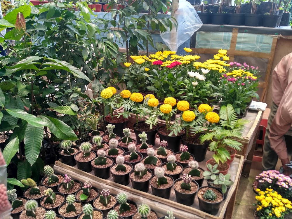 Pasar Bunga Selecta, Kota Batu — Tulungrejo, Bumiaji, Kota Batu, Jawa Timur  65336, Indonesia, telepon (0341) 592379, jam buka