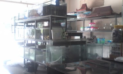 Pet Store