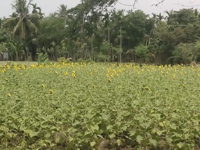 Photos of Dumuria Milk Market