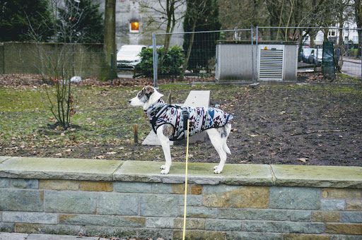 Gedenkstätte Werner-Hilpert-Denkmal