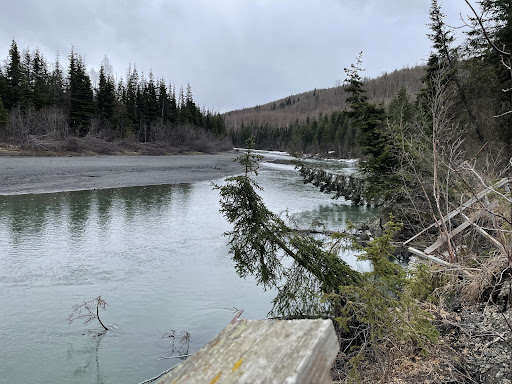 Briggs Bridge - Visual