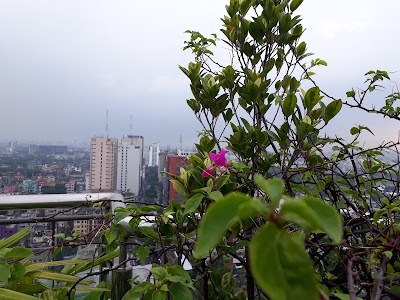 Photos of Stunning Bangladesh
