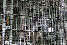 Duke Lemur Center, Durham, United States