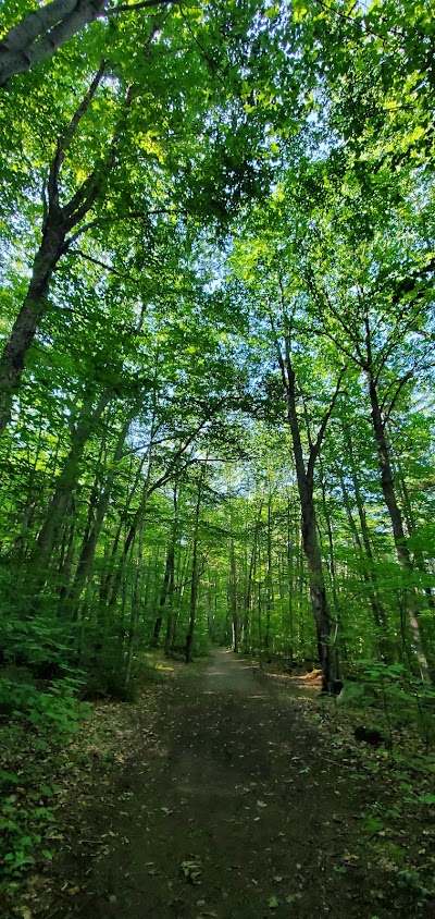 Silver Lake campground