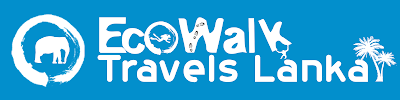Photos of EcoWalk Travels Lanka