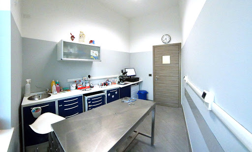 Ambulatorio Veterinario Chieri - Thumbnail