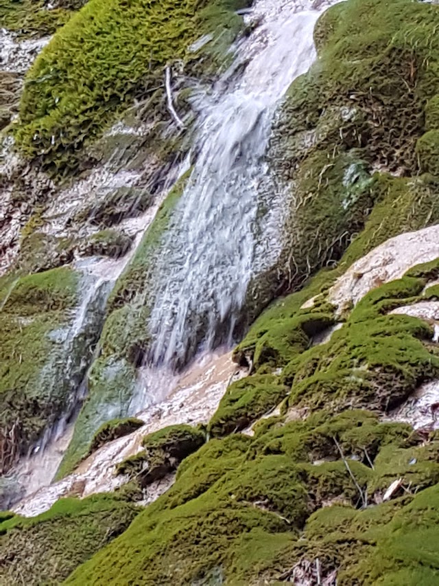 Grottes Et Cascades Des Carmes Barjols