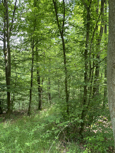 Gleichberge - Visual