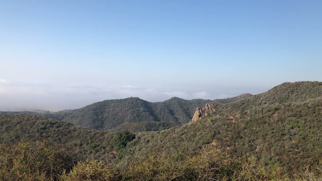 Topanga State Park by null