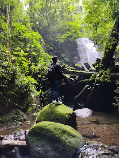 Cascada del Jabalí Gallery - Mexico