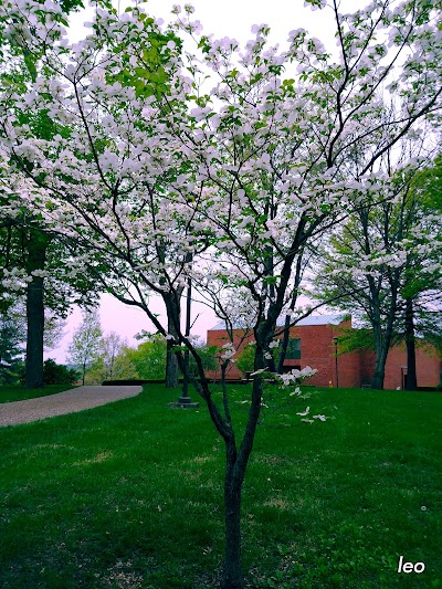 Photos of Indiana University Southeast
