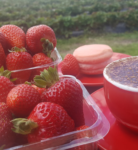 Berry World PYO Strawberries and Berry Good Thai Restaurant - Thumbnail
