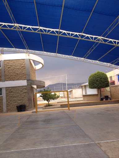 Colegio Excellis
