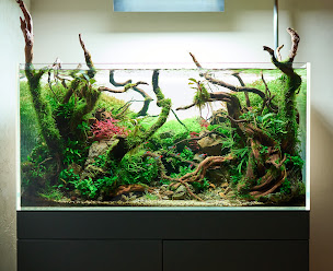 Photo n°3 de Math'Aqua à Chauvigny (Service de nettoyage et d'entretien)