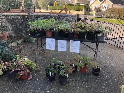 Val's Plant Stall - Thumbnail